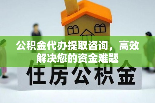 武清公积金代办提取咨询，高效解决您的资金难题