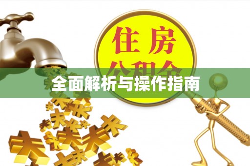 武清全面解析与操作指南