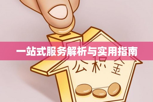武清一站式服务解析与实用指南