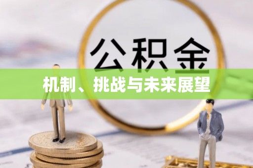 武清机制、挑战与未来展望