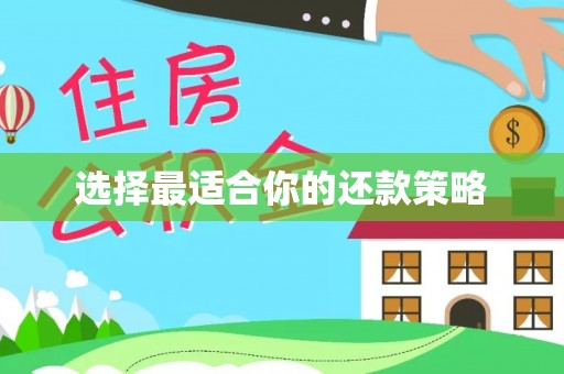 武清选择最适合你的还款策略