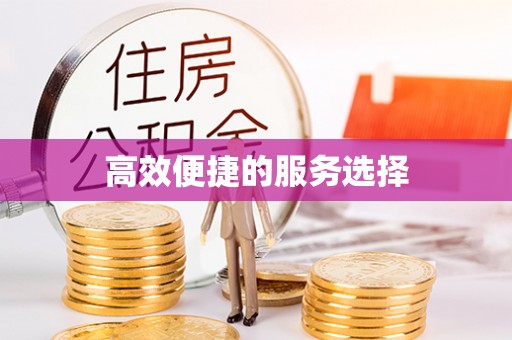 武清高效便捷的服务选择