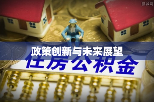 武清政策创新与未来展望