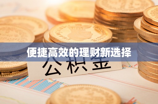 武清便捷高效的理财新选择