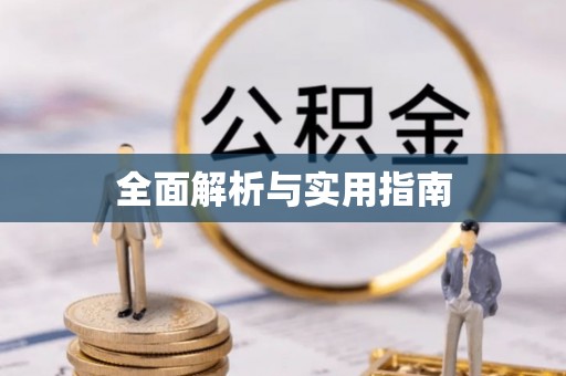 武清全面解析与实用指南