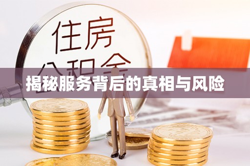 武清揭秘服务背后的真相与风险