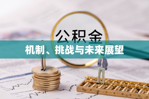 武清机制、挑战与未来展望